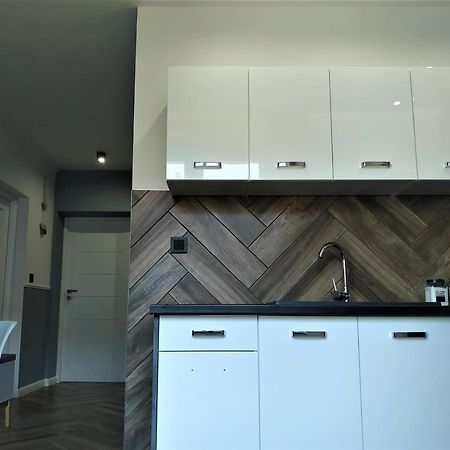Apartament Lucy - Scisle Centrum Czestochowy Czestochowa Ngoại thất bức ảnh