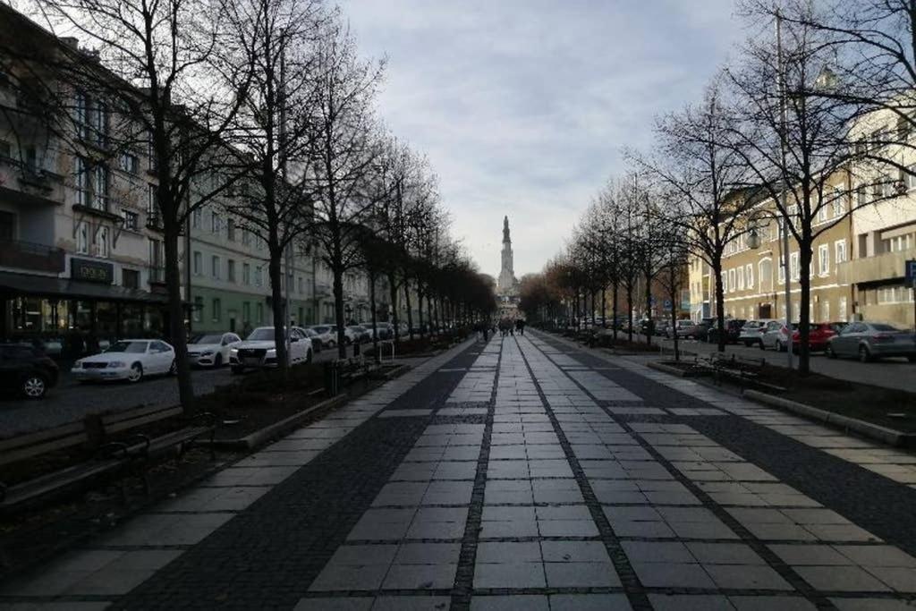 Apartament Lucy - Scisle Centrum Czestochowy Czestochowa Ngoại thất bức ảnh